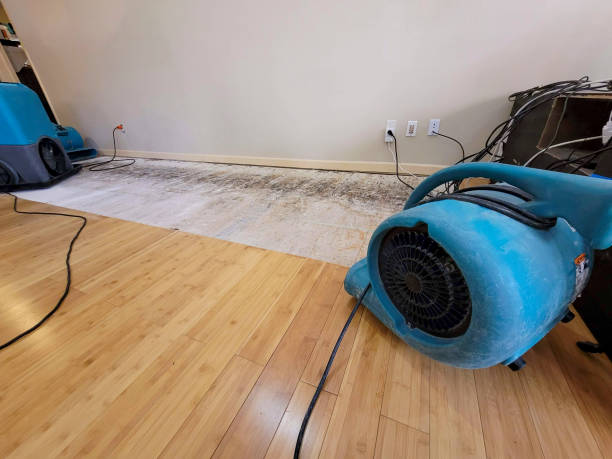 Professional Emergency Water Damage technician working in Sanbornville, NH
